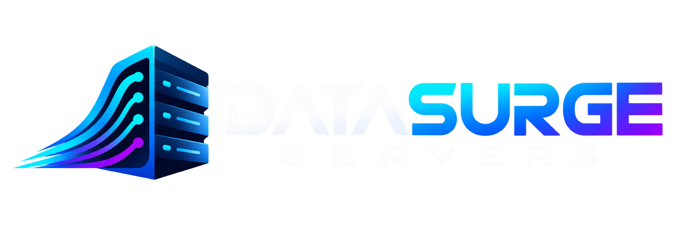 Datasurge Servers